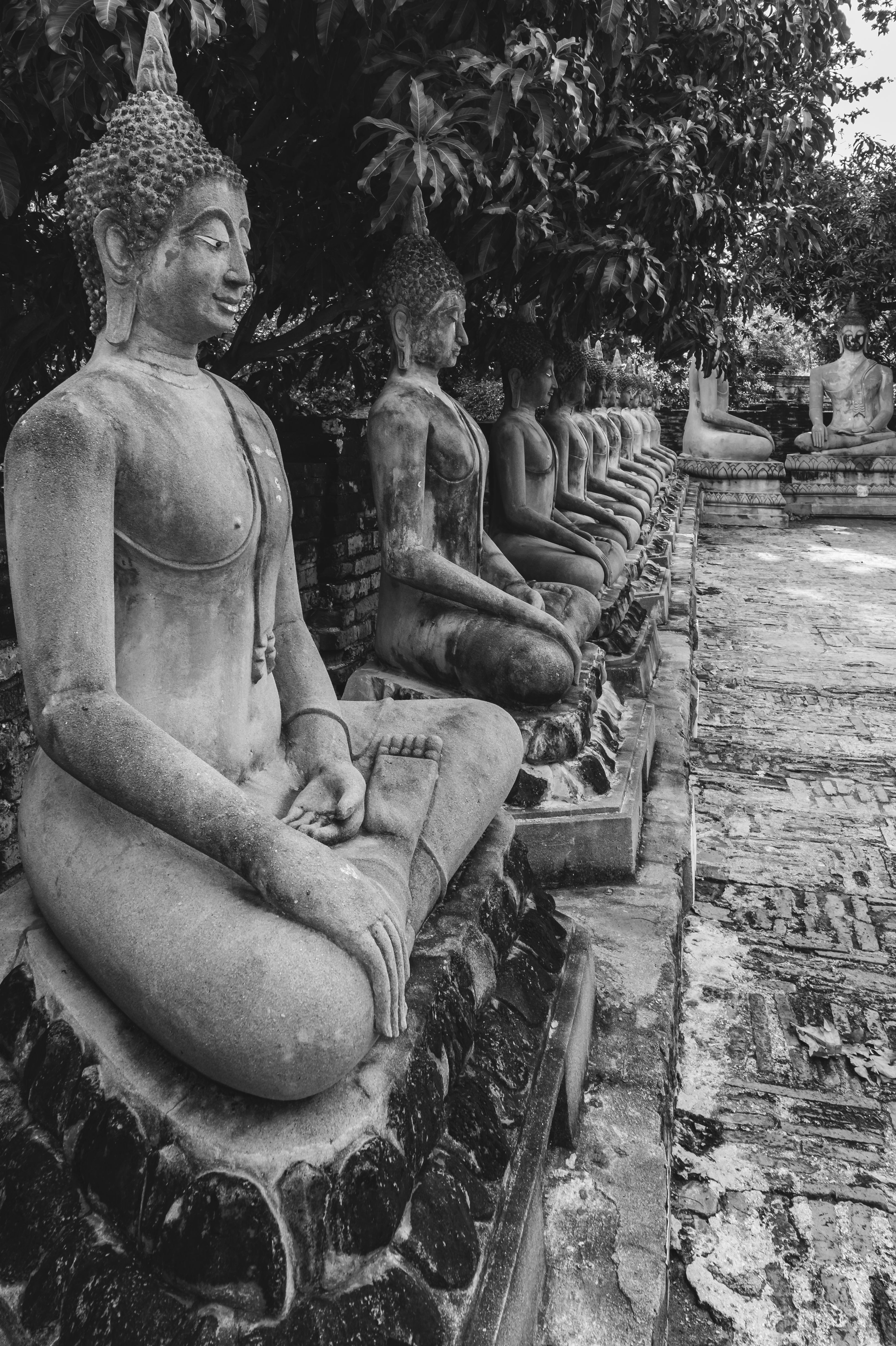 "Thailand Art"