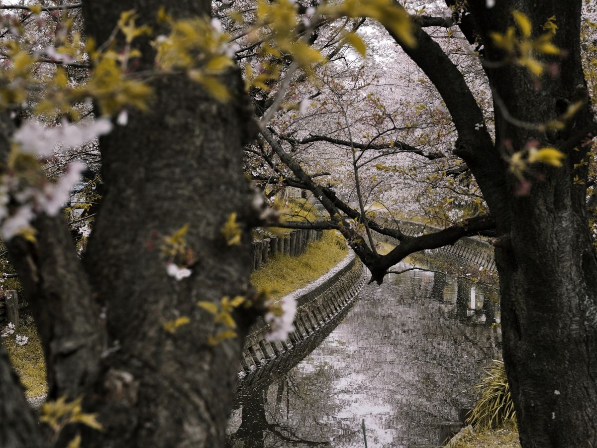 4 Day Private Retreat: Zen Practice and Renewal in Tohoku, Japan 1