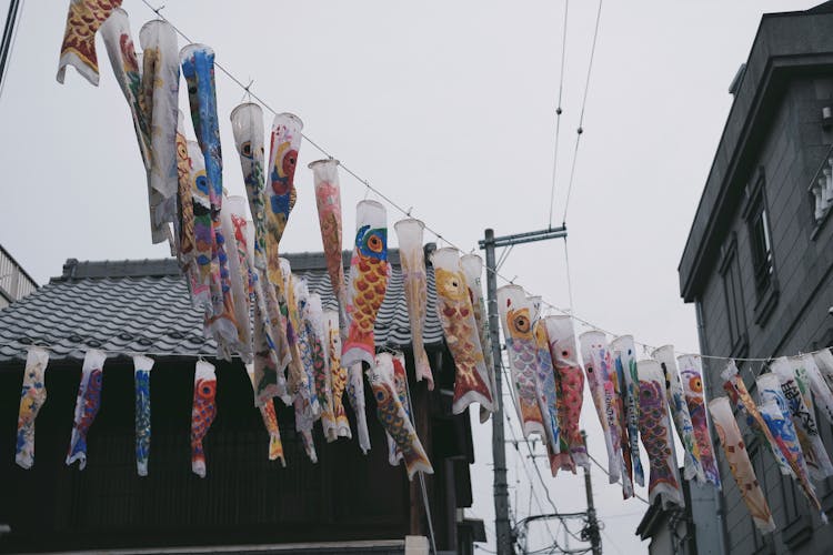 Assorted-color Carp Streamers