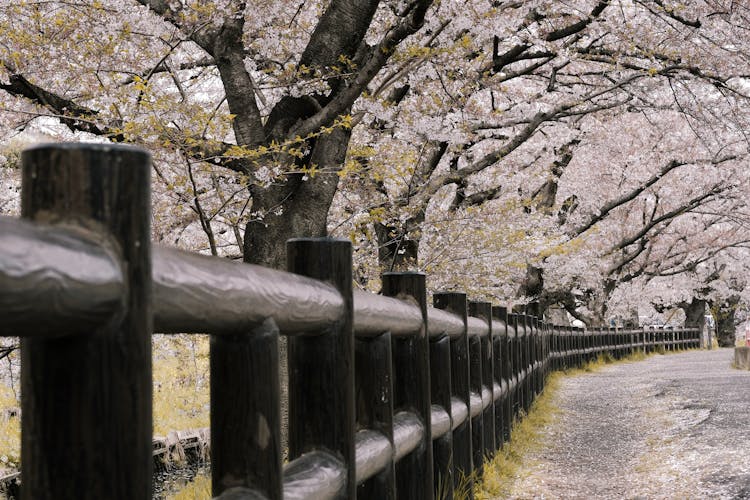 Black Wooden Railing