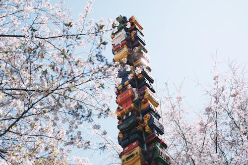 Low-angle Photography of Robot Tower Between Cherry Blossom Trees