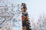 在一个阳光明媚的日子，东京一座充满活力的机器人塔周围，樱花树盛开着