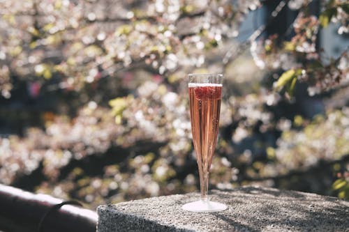 Δωρεάν στοκ φωτογραφιών με sakura, αλκοολούχο ποτό, αναψυκτικό