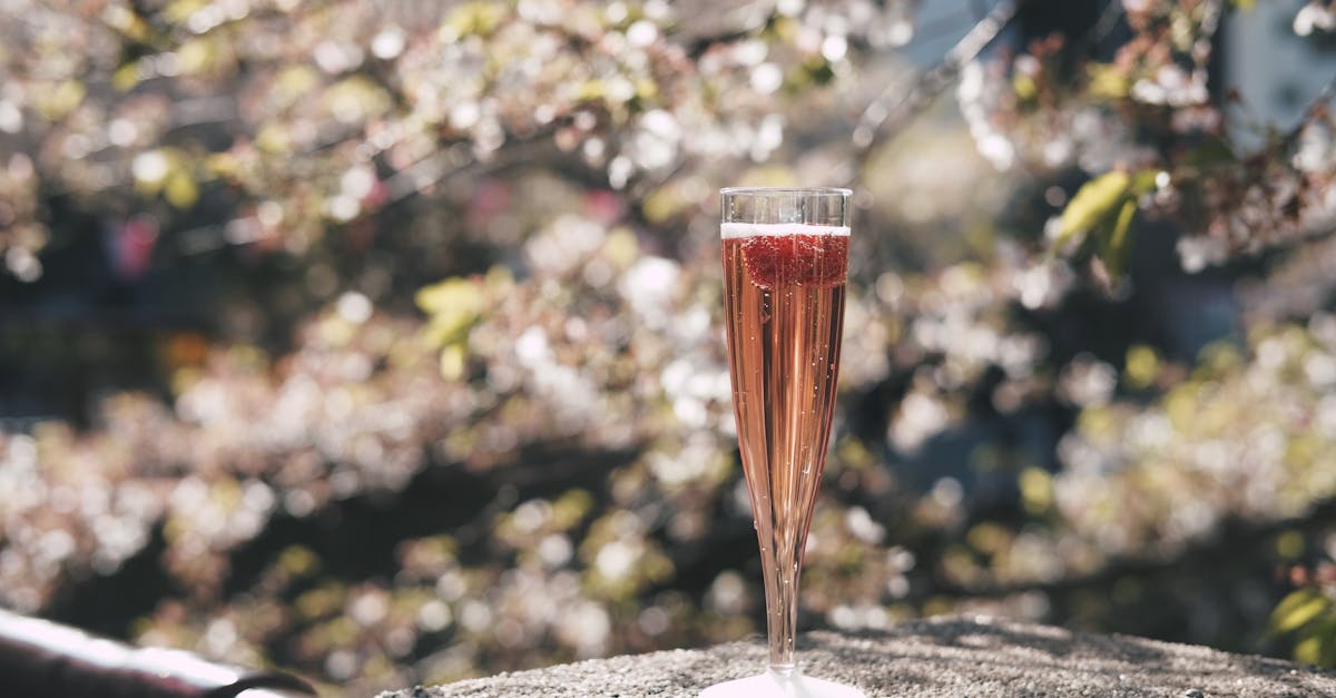 高評価的东京私立大学分析及升学指导 高評価的东京私立大学分析及升学指导