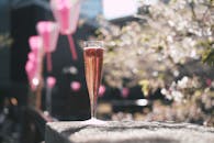 一款以东京盛开的樱花为背景的清爽樱花主题酒精饮料