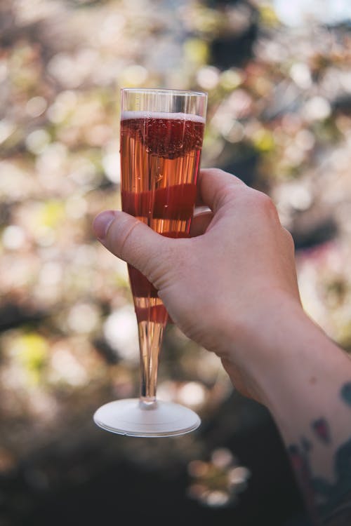 Pessoa Segurando Uma Taça De Vinho