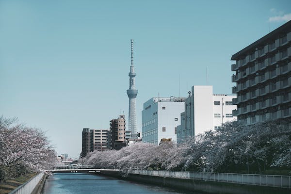 Historic Kyoto streets