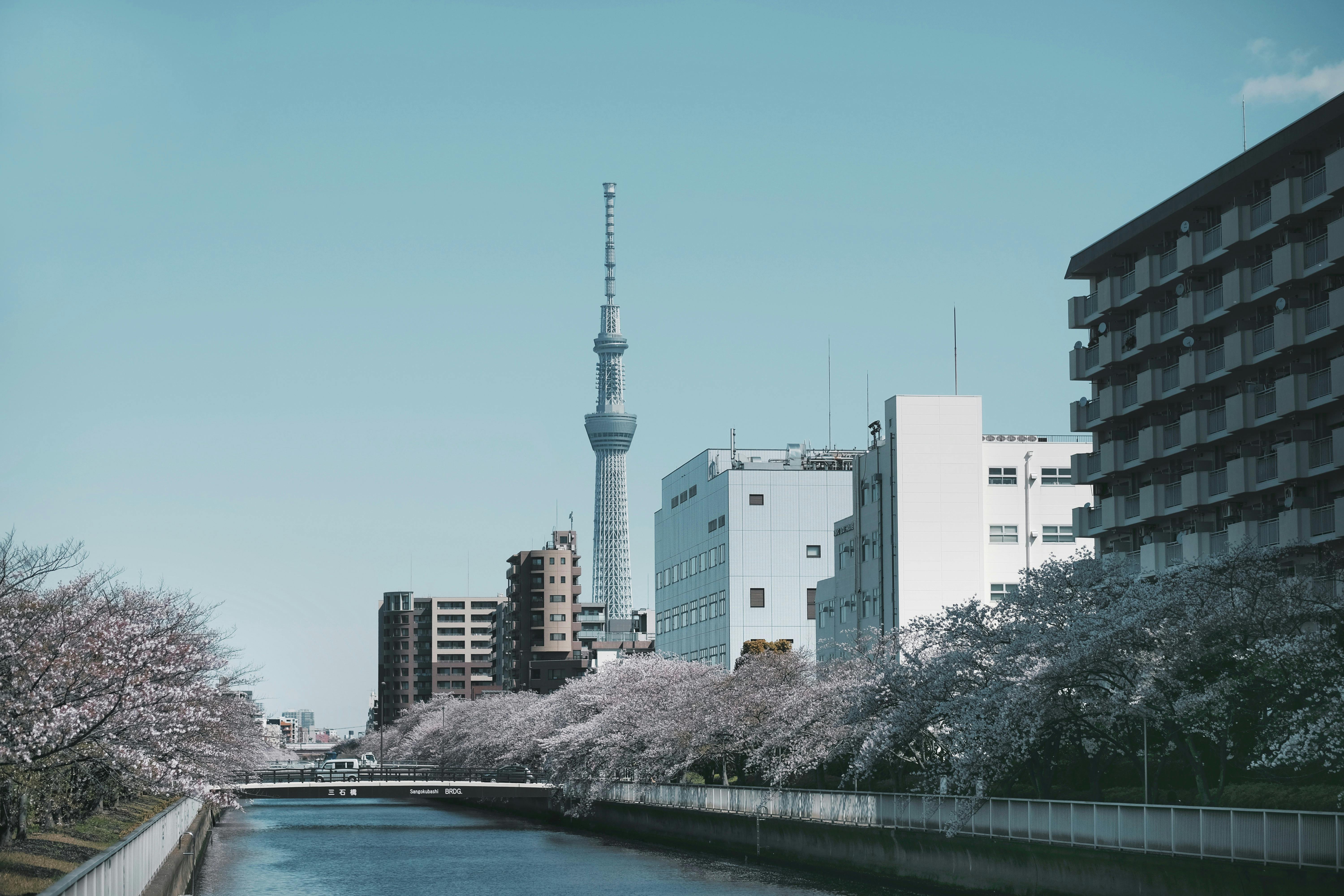 Tokyo Photos, Download The BEST Free Tokyo Stock Photos & HD Images