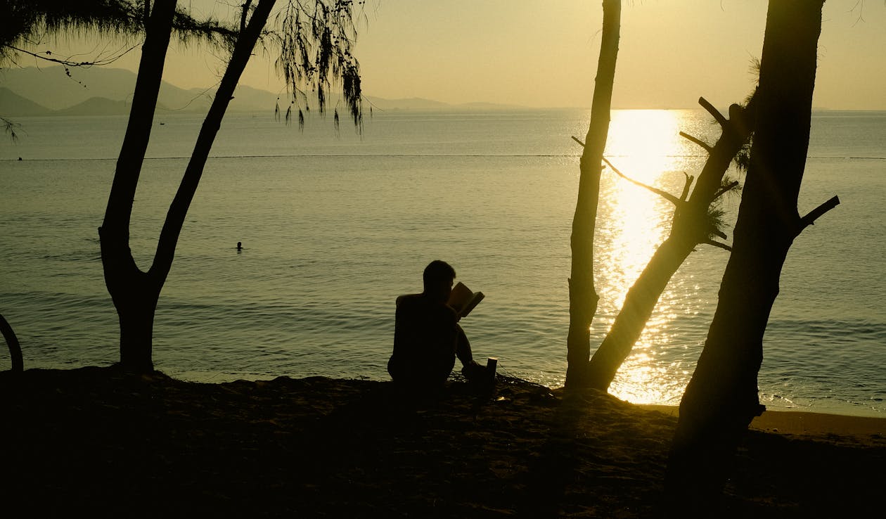 Free stock photo of beachs, morning sky, reading aid