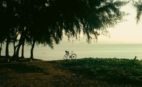 Fotos de stock gratuitas de cielo matutino, playas, puesto de bicicletas