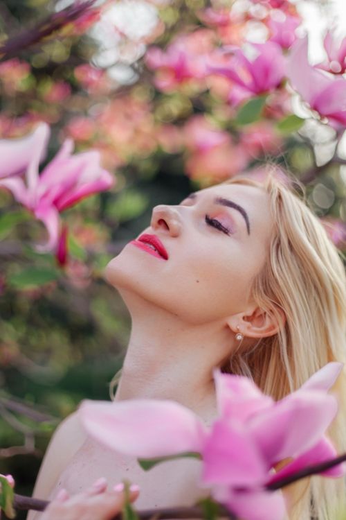 Free Portrait of a serene blonde woman among pink magnolia blossoms. Stock Photo