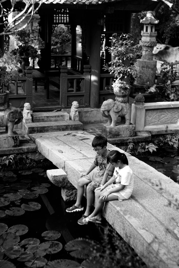 Kindy at the botanic gardens
