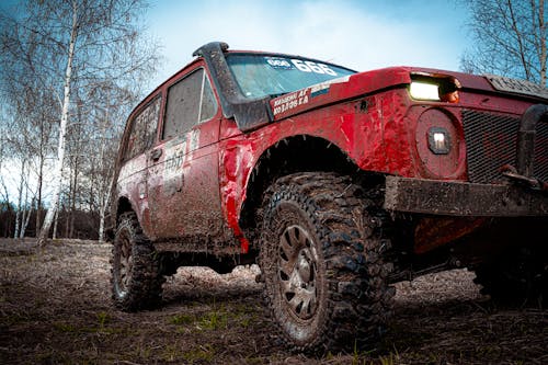 A red jeep is parked in the woods