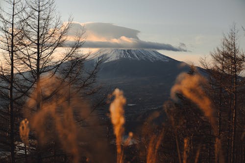 후지산의 풍경