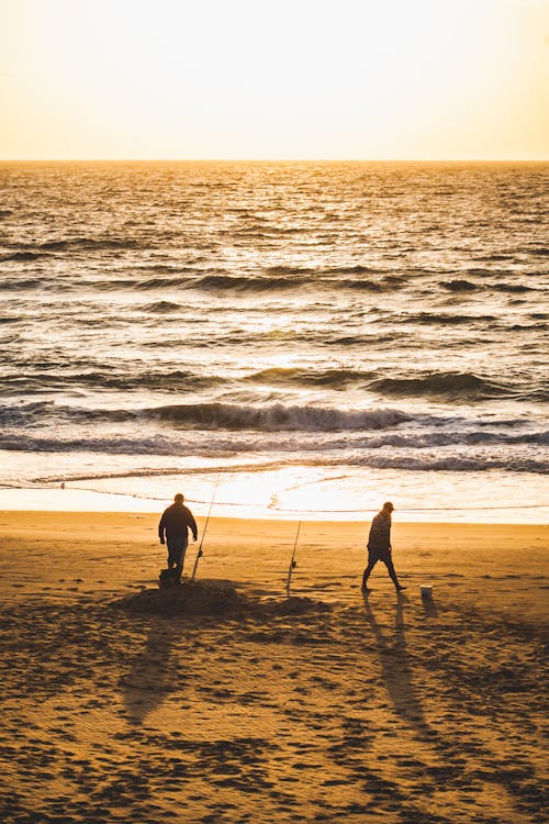 Kostenlos Zwei Leute An Der Küste Stock-Foto