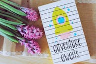 风信子花旁边有一张印着“冒险等待”火箭艺术品的卡片