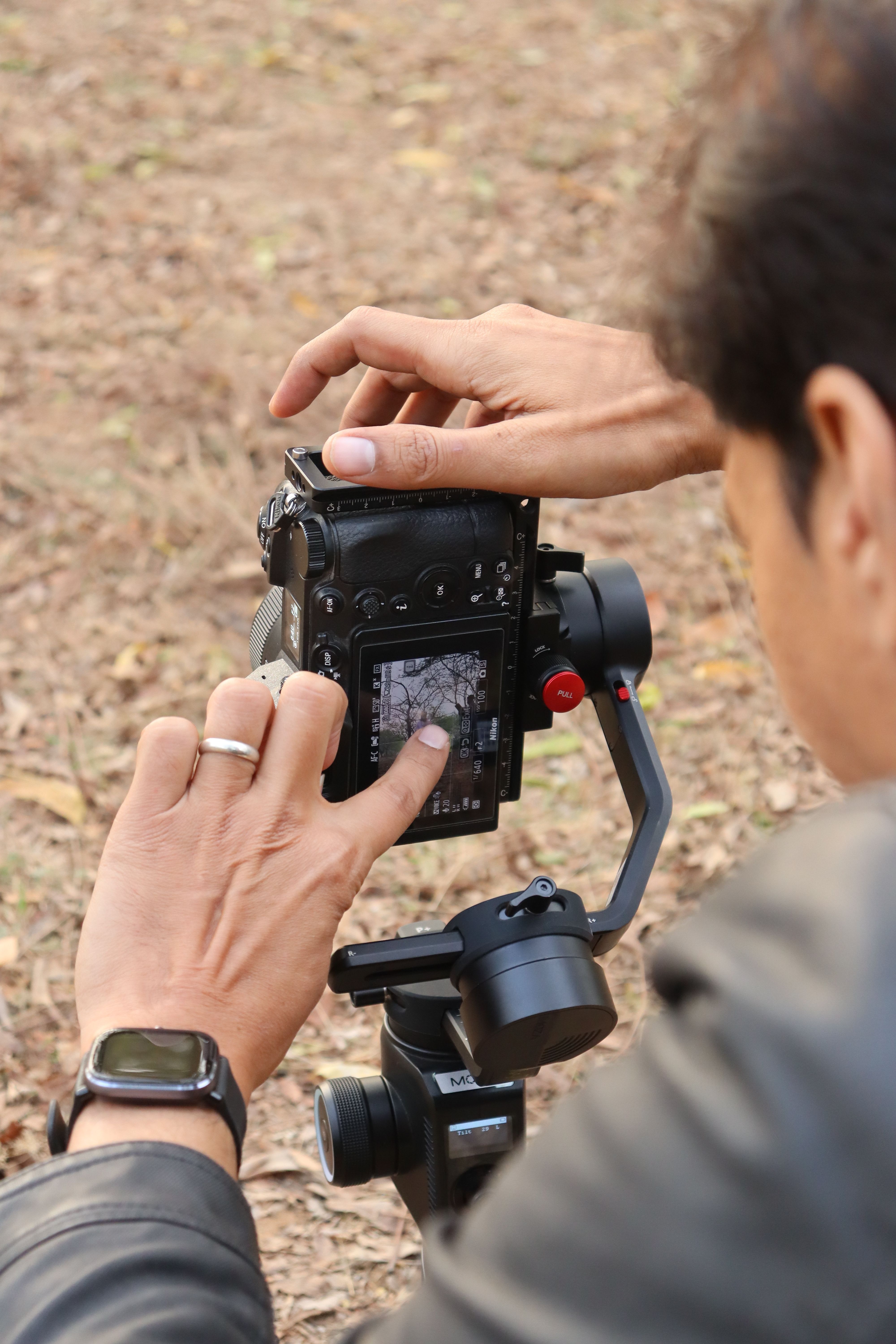 Digital Photography