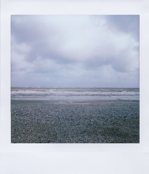 deniz, deniz kıyısı, dikey atış içeren Ücretsiz stok fotoğraf