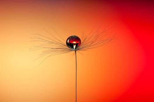 A captivating extreme close-up of a water drop on a seed against a vibrant red and orange background.