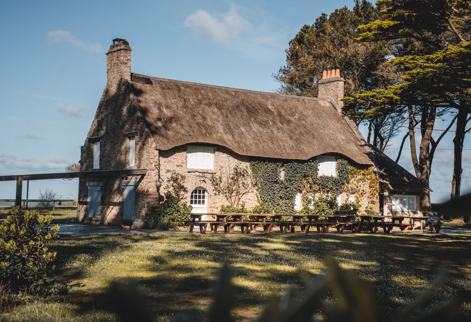 Aberaeron — professional movers carrying furniture on a house move