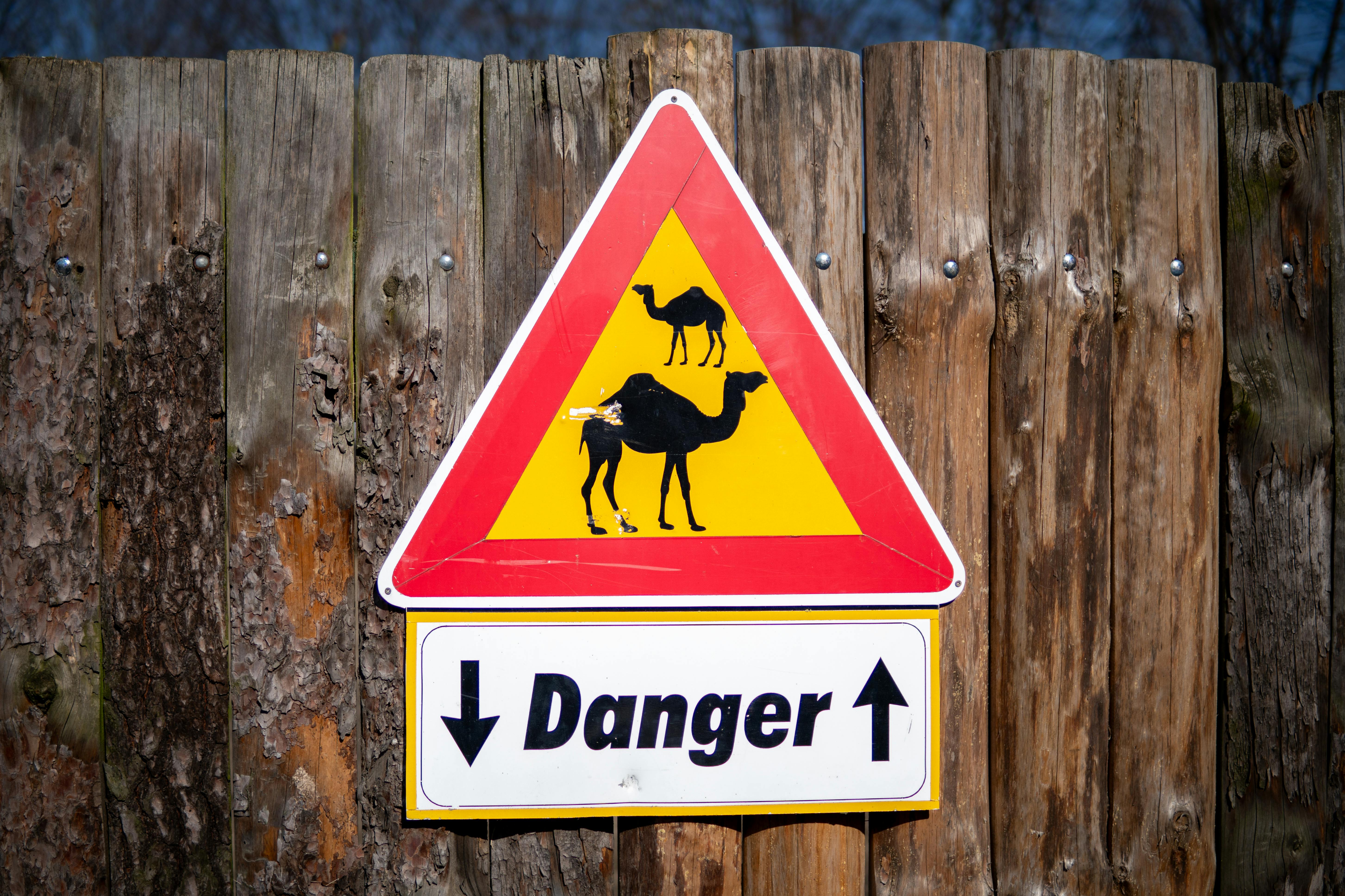 In a Warning Shot, Oregon Insurance Regulators Oust Alternative Health Plan From the State — Photo by Michał Robak on Pexels