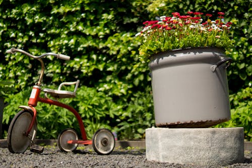 Red Pedal Trike Beside Container With Flowers