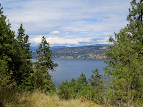 Free Dog License Kelowna Free Dog License Kelowna