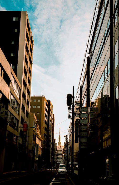 Free stock photo of buildings, city, japan