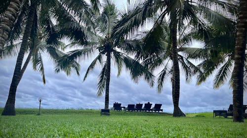 Beach view benches 