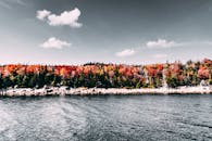 晴朗的天空下，湖畔的秋季森林景色充满活力，美丽动人