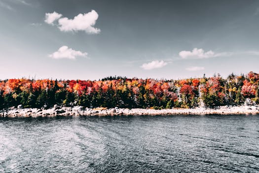 晴朗的天空下，湖畔的秋季森林景色充满活力，美丽动人