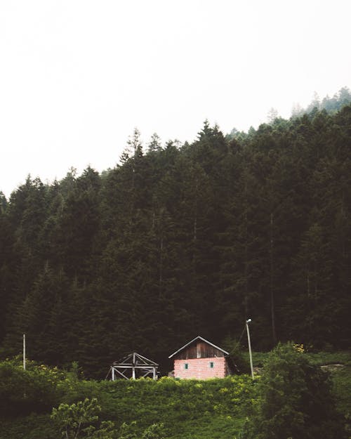 Picturesque view of small rural cottage located in lush green meadow against forest on clear day