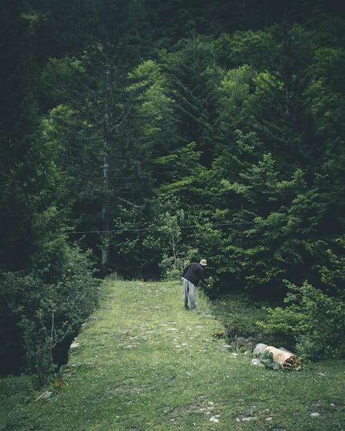 Person Standing In Green Field Surrounded With Trees