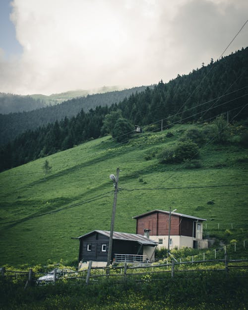 Cabane Près De La Forêt