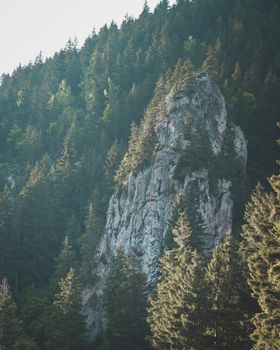 森林覆盖的山脉与突出的岩层，共同展现了大自然的壮丽景色