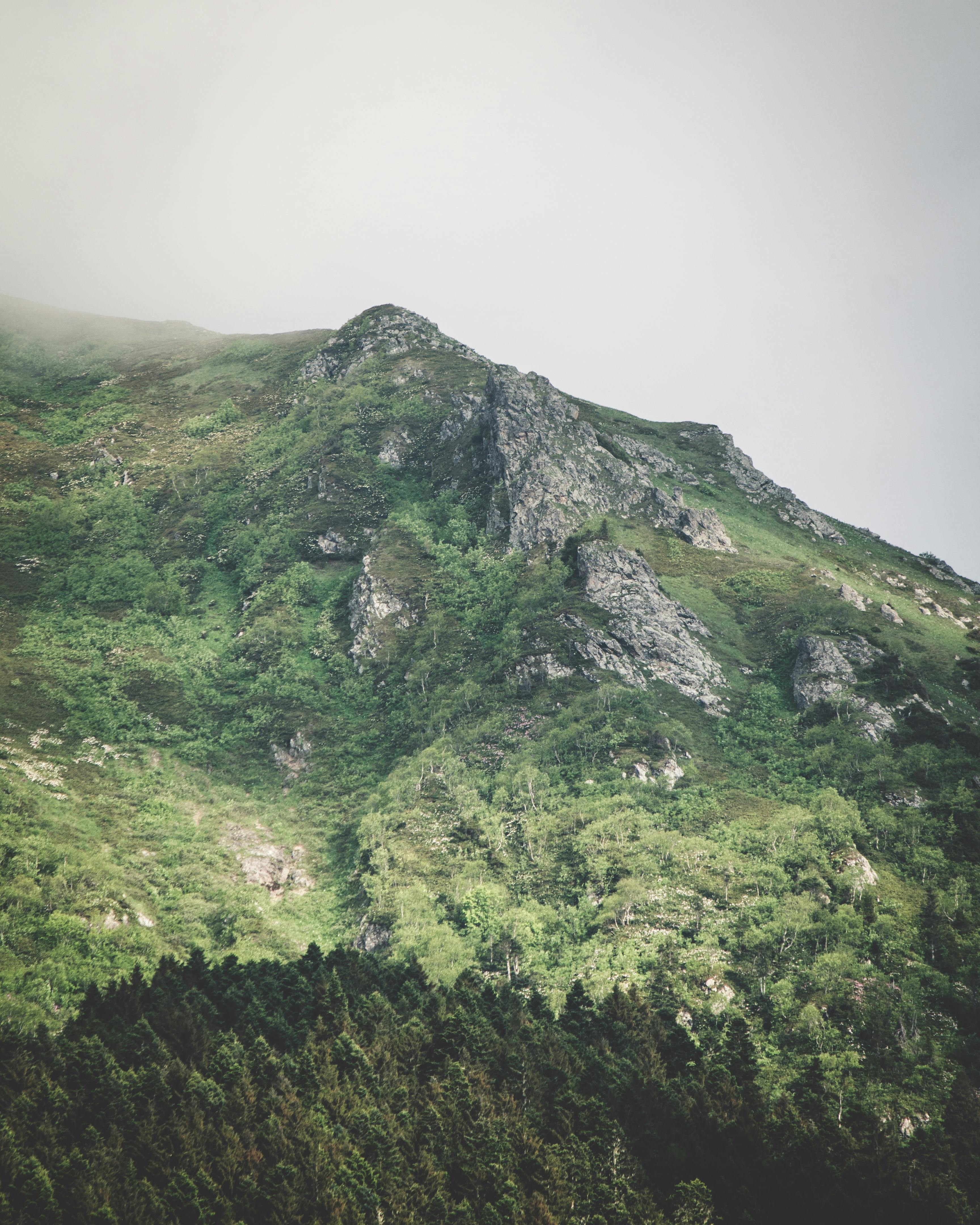 雾气缭绕的山地间，郁郁葱葱的绿意与岩石山峰交相辉映