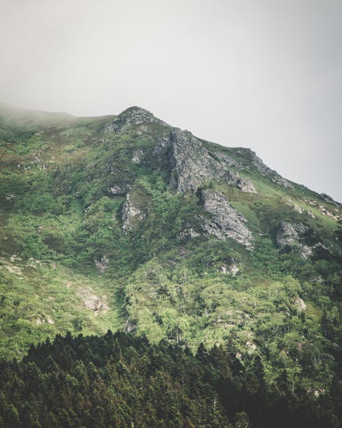 Gratis lagerfoto af bjerg, landskab, malerisk