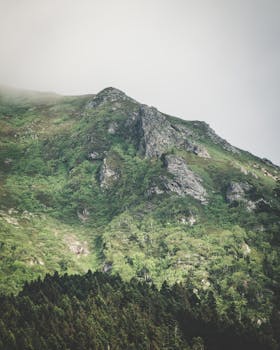 雾气缭绕的山地间，郁郁葱葱的绿意与岩石山峰交相辉映