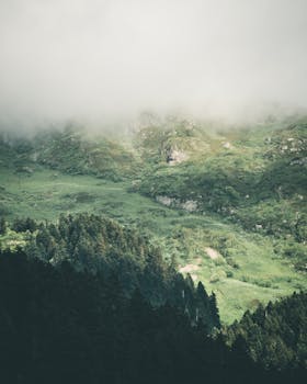 青山郁郁葱葱，笼罩在薄雾之中，呈现出一片宁静的景色