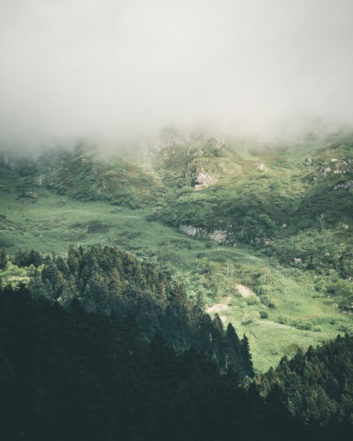 Free A serene misty landscape of lush green mountains covered by fog. Stock Photo