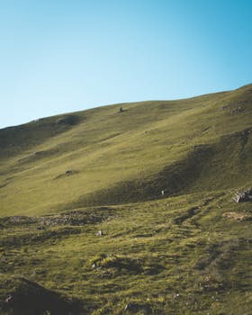 蓝天清澈，绿草如茵的山坡，描绘出一片宁静的自然美景