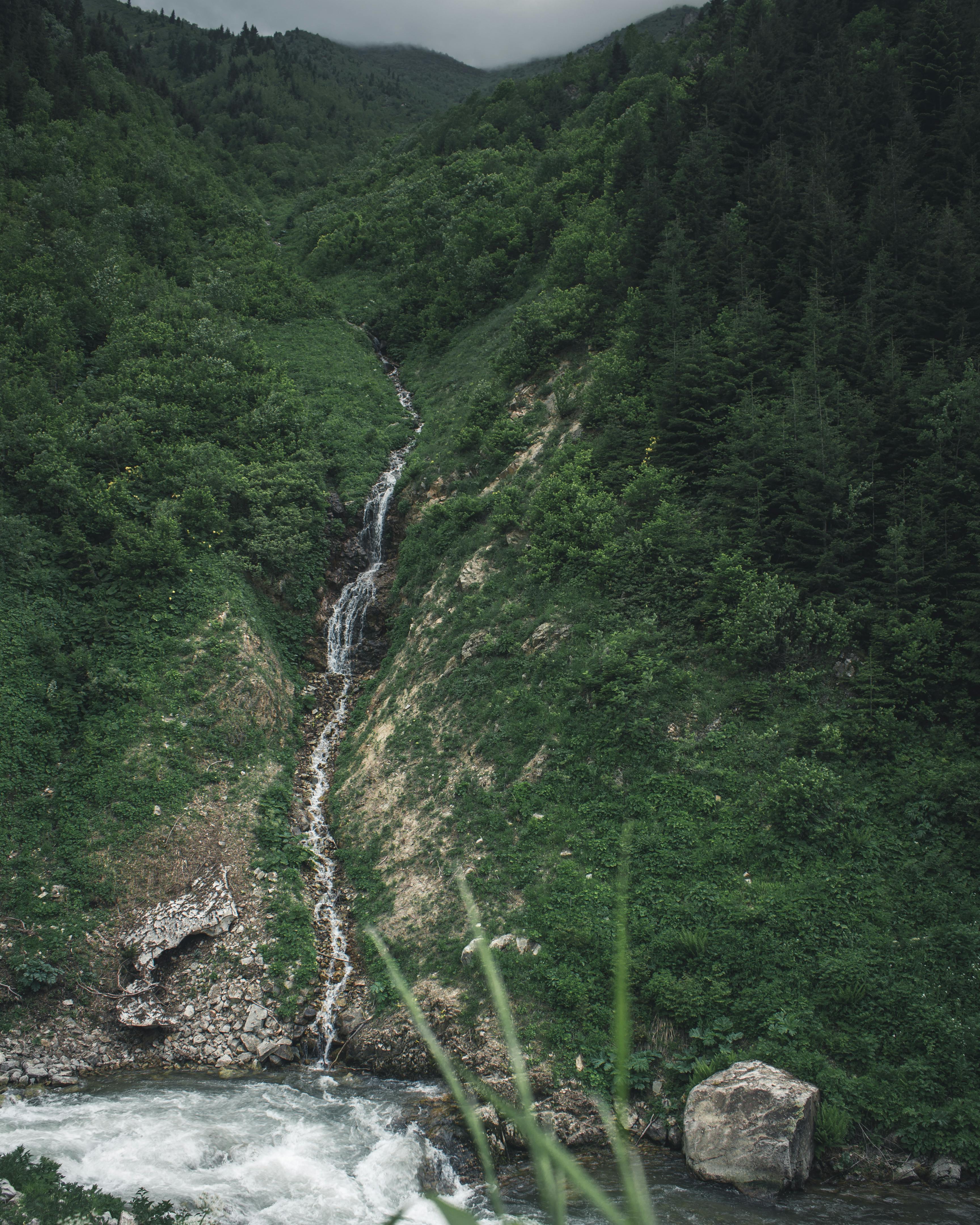 宁静的瀑布流经被茂密森林环绕的郁郁葱葱的绿色山谷，捕捉着大自然之美的本质