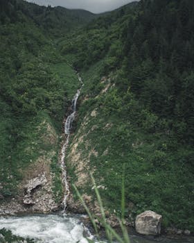 宁静的瀑布流经被茂密森林环绕的郁郁葱葱的绿色山谷，捕捉着大自然之美的本质