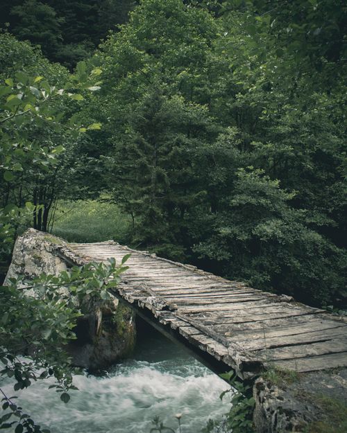 Free A rustic wooden bridge crossing a lush forest stream, surrounded by vibrant greenery. Stock Photo