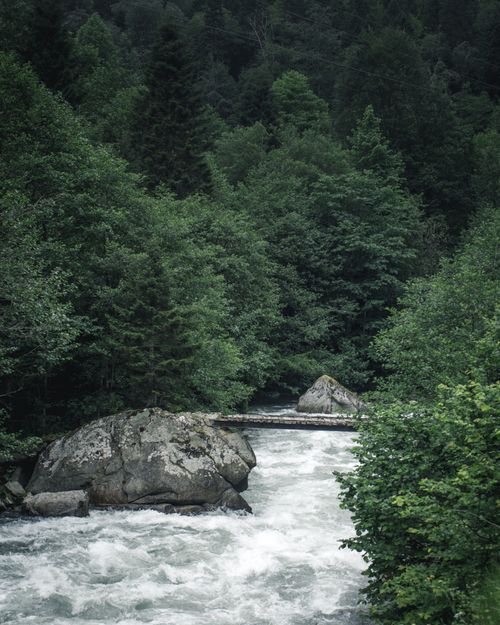 Free A scenic river with rapids flowing through a lush green forest, surrounded by rocks and trees. Stock Photo