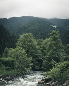 探索雾蒙蒙的山脉和流动的河流，感受大自然的宁静
