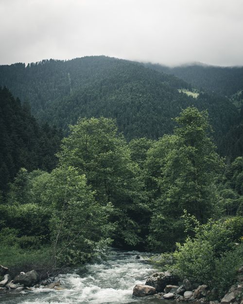 Free Explore nature's tranquility with misty mountains and a flowing river. Stock Photo