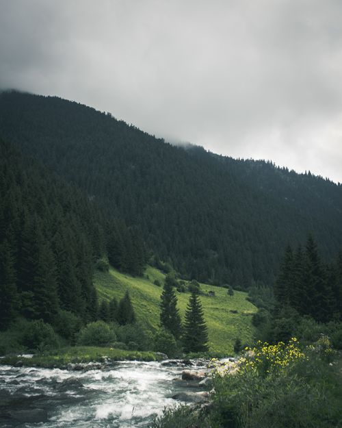 Free Tranquil mountain scene with lush greenery and a swiftly flowing river under a cloudy sky. Stock Photo