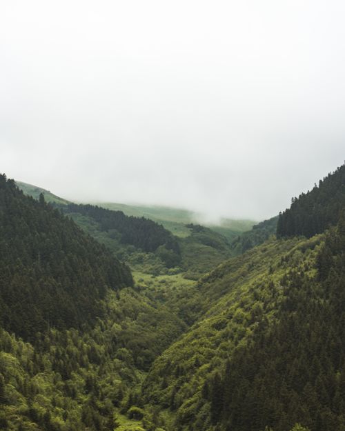 Free Aerial view of a foggy green valley surrounded by lush forests and rolling hills. Stock Photo