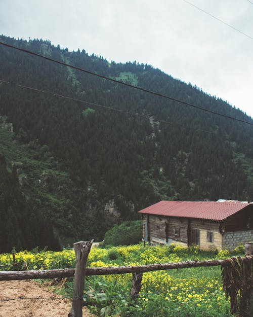 Foto d'estoc gratuïta de bungalou, casa, graner